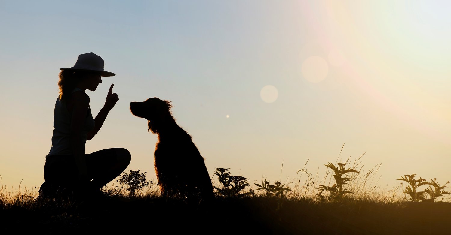 Trainer with a dog outdoors