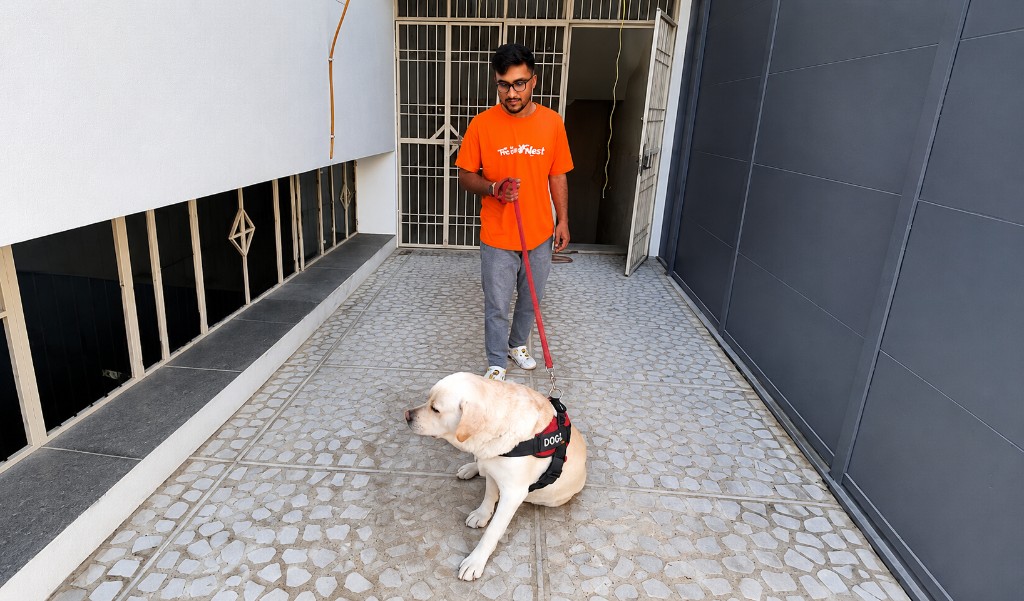 Dog walker walking a dog on a leash
