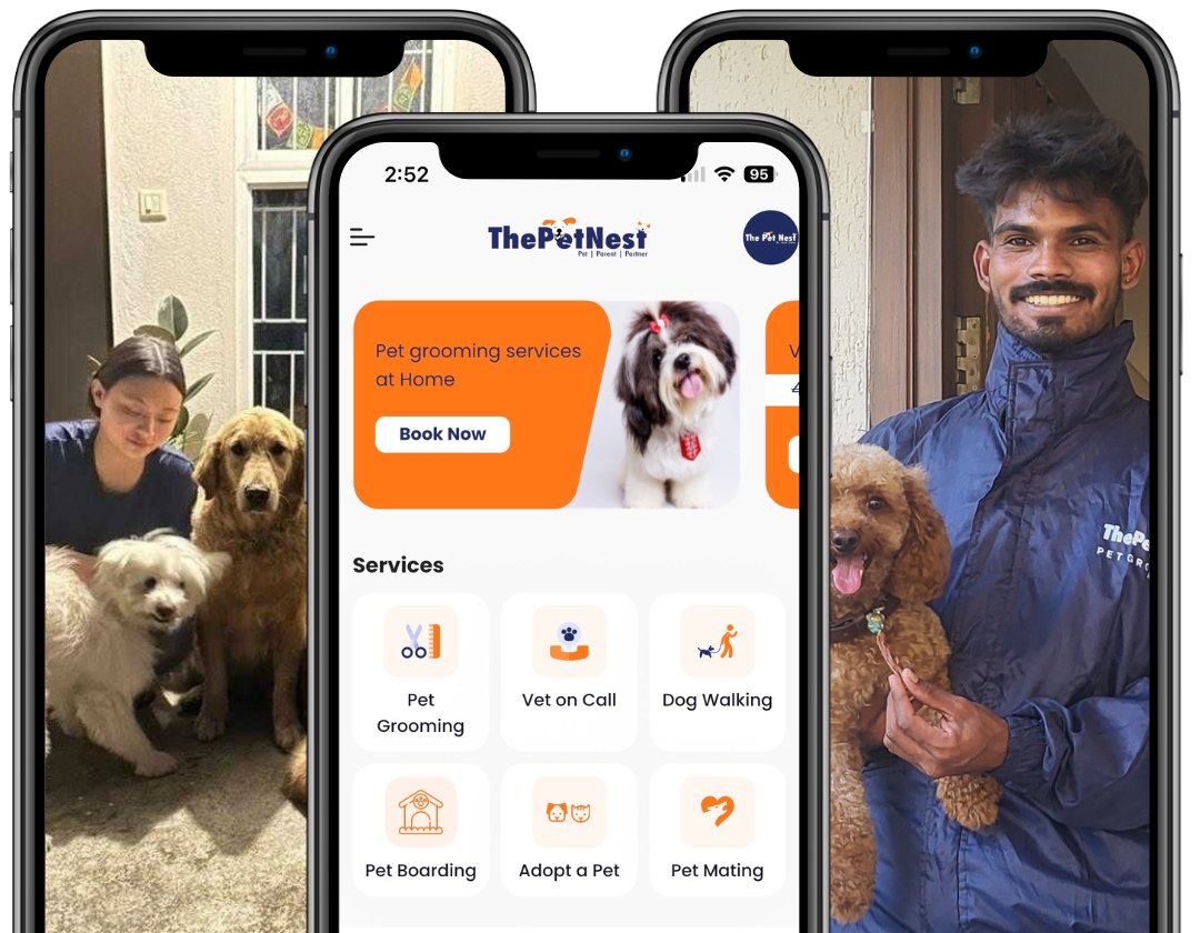 Book pet care services on ThePetNest app