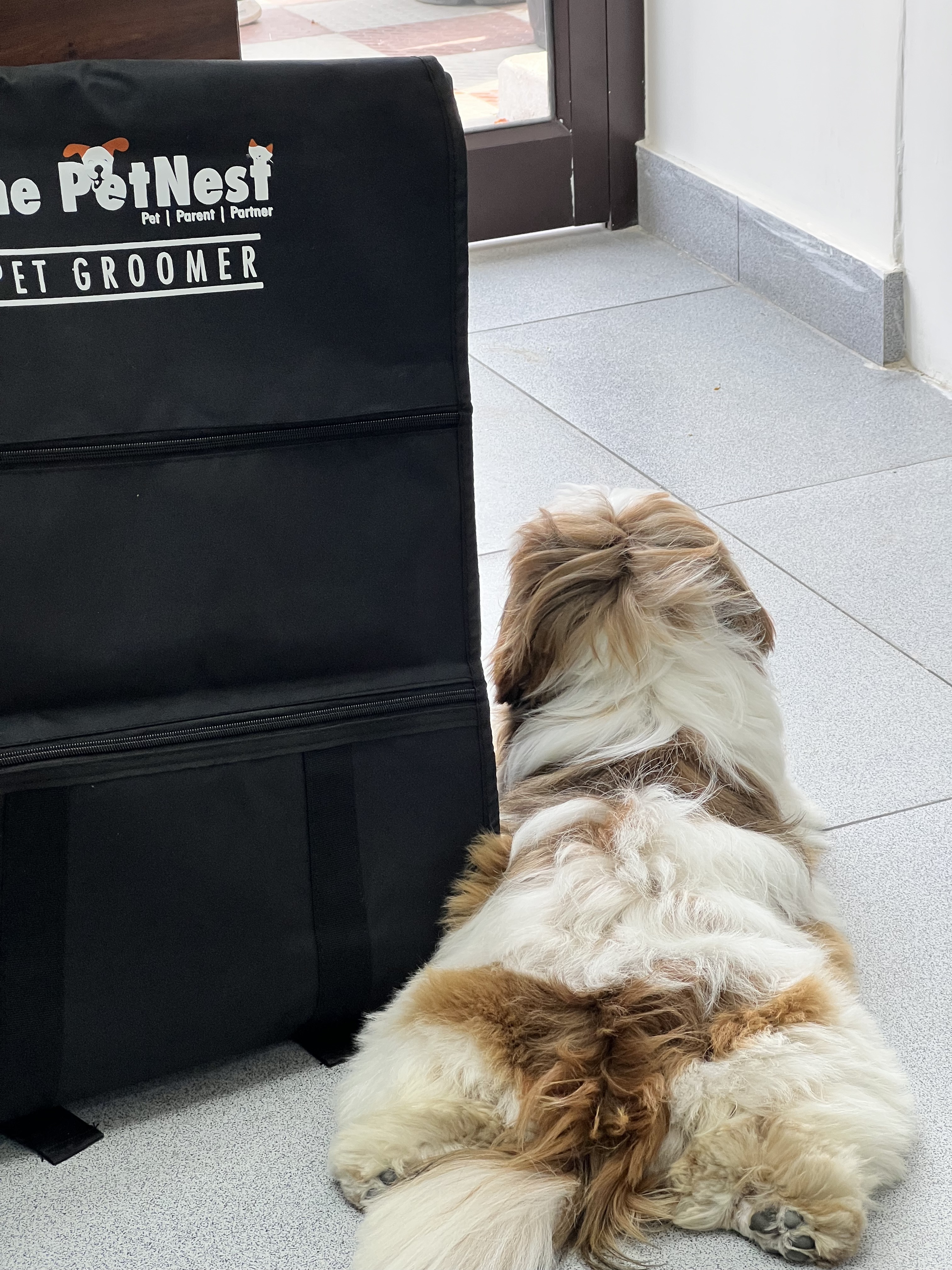 Verified ThePetNest groomer caring for a pet