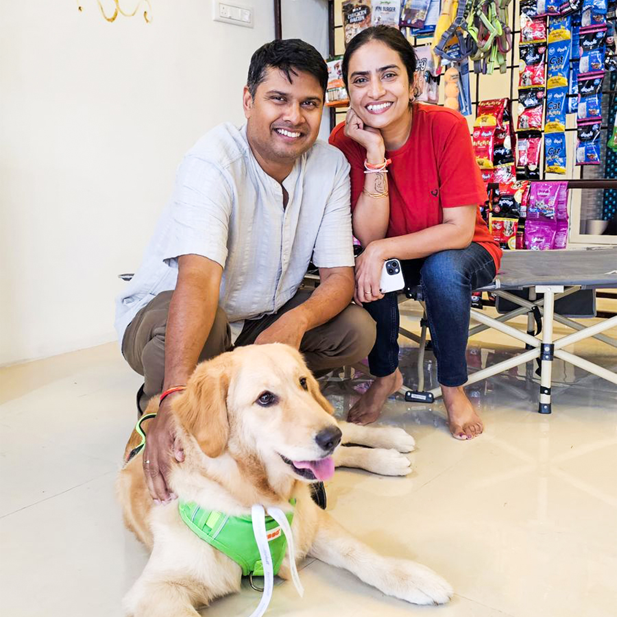 Dog after an at-home pet grooming session in OMR / Sholinganallur