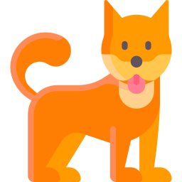 Dog Grooming Package in Chandigarh