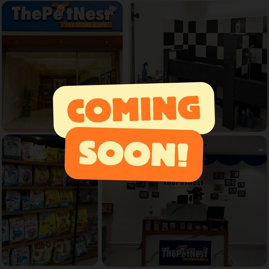  Vadodara Store, Gujrat Store Image