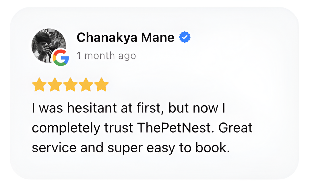 Chanakya Review Image